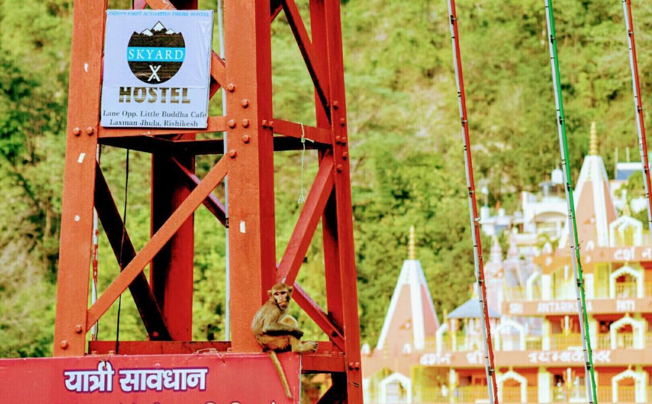 Skyard Rishikesh, Laxman Jhula Hostel Kültér fotó